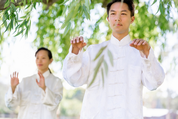 People practicing tai chi in park HD picture 04
