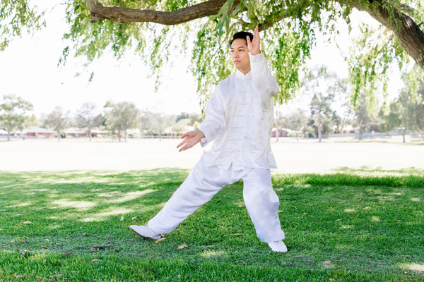 People practicing tai chi in park HD picture 05