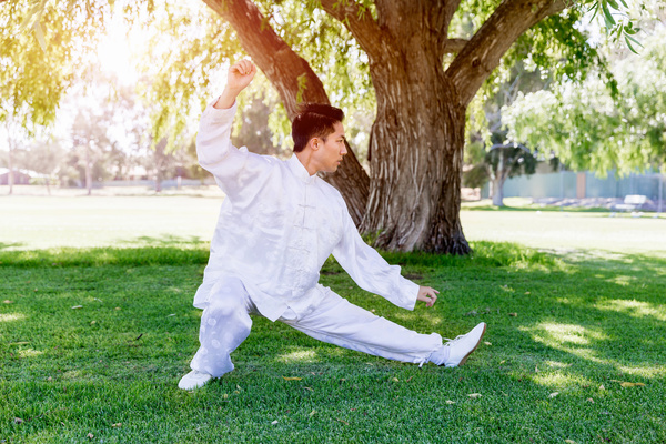 People practicing tai chi in park HD picture 06