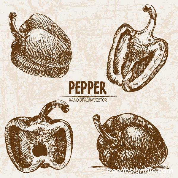 Pepper hand drawing retor vector 03