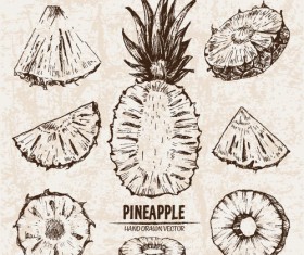 Pineapple hand drawing retor vector