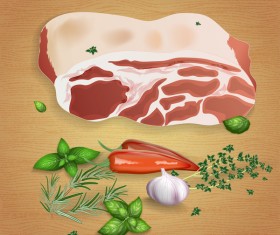 Pork with sauces and spices vector 02