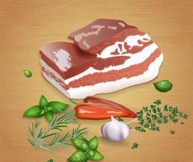 Pork with sauces and spices vector 04