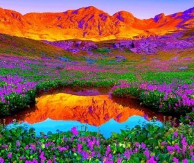 Purple flowers Stock Photo