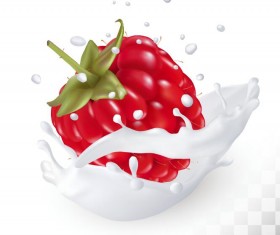 Raspberry and splash milk vector