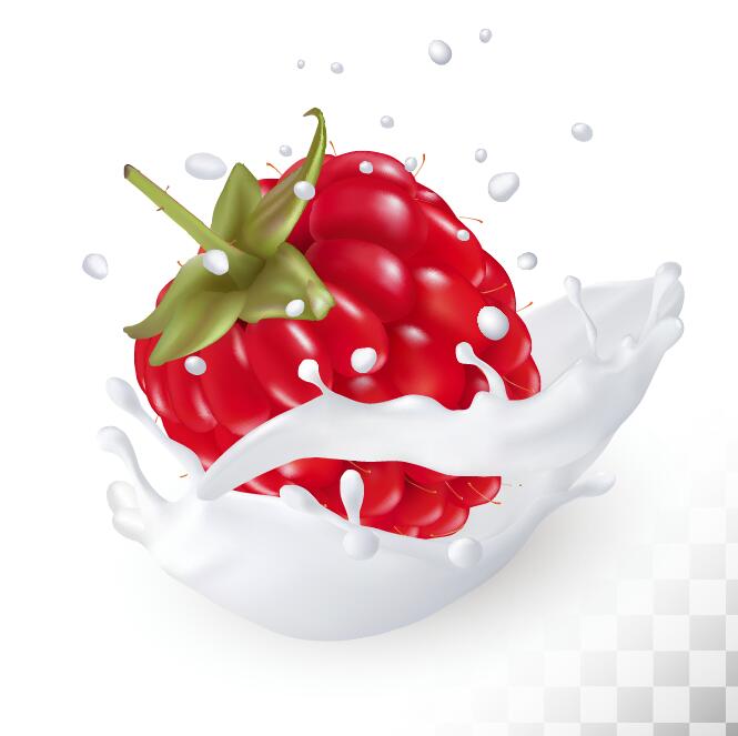 Raspberry and splash milk vector