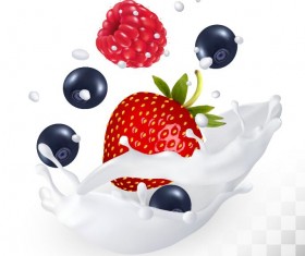 Raspberry bluberry strawberry with splash milk vector