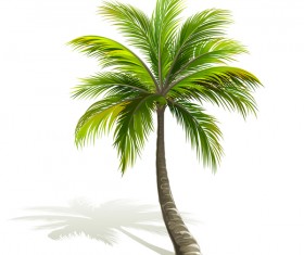 Realistic palm tree illustration vectors 02