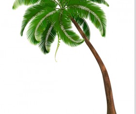 Realistic palm tree illustration vectors 03