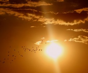 Red sunset Stock Photo 06