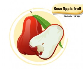 Rose apple fruit illustration vector