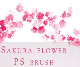 Sakura Flower Photoshop Brushes