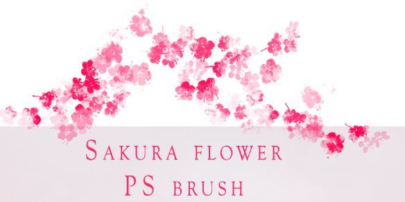 Sakura Flower Photoshop Brushes