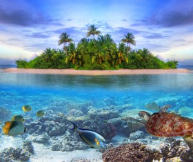 Sea islands and the underwater world Stock Photo 02