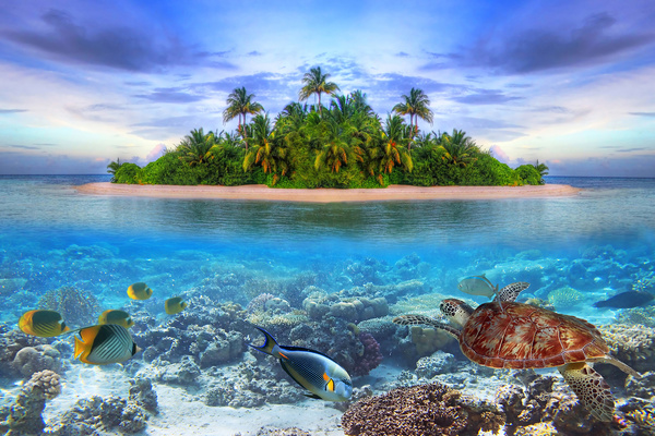 Sea islands and the underwater world Stock Photo 02