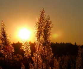 Stunning Sunset HD picture 11