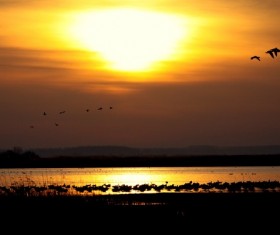 Stunning Sunset HD picture 12