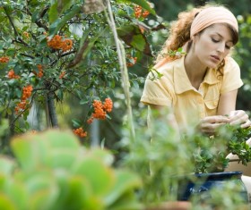 Take care of potted woman Stock Photo