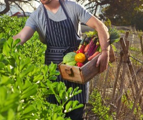 Take care of the farmers in the garden HD picture