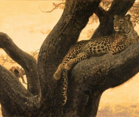 The leopard on the trunk Stock Photo