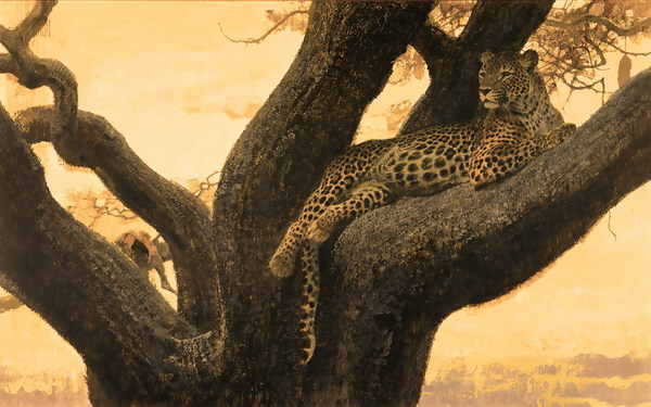 The leopard on the trunk Stock Photo