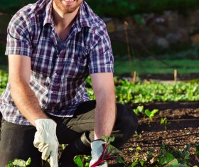 Vegetable smiling man HD picture