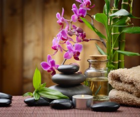 Zen stones and bamboo orchids Stock Photo 02