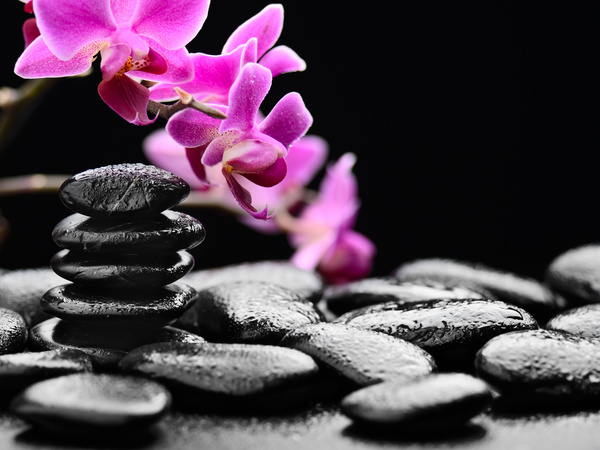 Zen stones and bamboo orchids Stock Photo 03