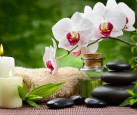 Zen stones and bamboo orchids Stock Photo 04