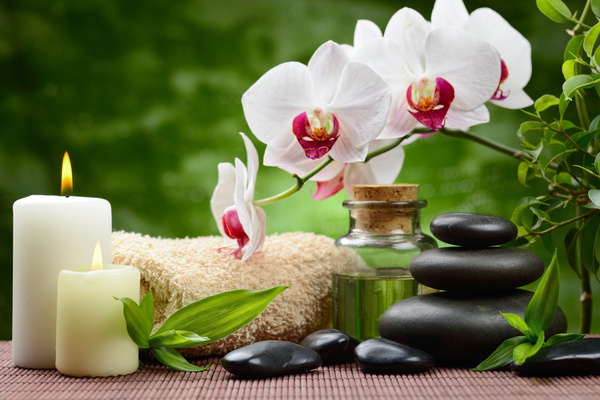 Zen stones and bamboo orchids Stock Photo 04