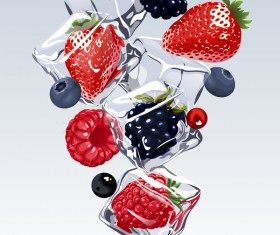berries with ice cubes design vector