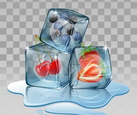 berry with ice cubes illustration vector 01