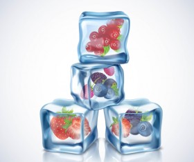 berry with ice cubes illustration vector 02