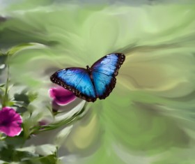 blue butterfly Stock Photo