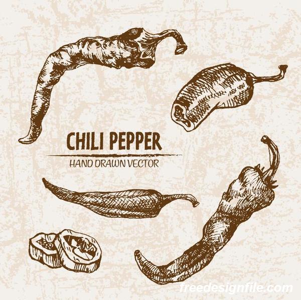 chili pepper hand drawing retor vector 01