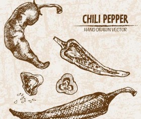 chili pepper hand drawing retor vector 02