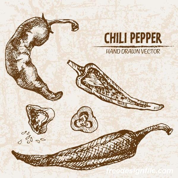 chili pepper hand drawing retor vector 02