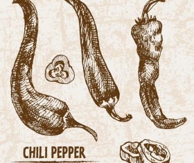 chili pepper hand drawing retor vector 03