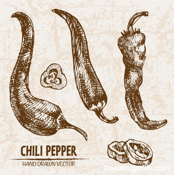 chili pepper hand drawing retor vector 03