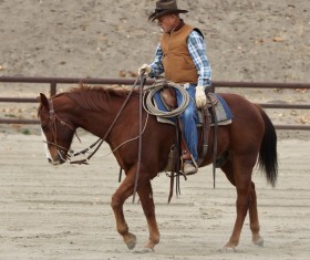 cowboy Stock Photo 04