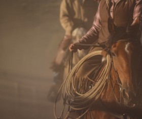 cowboy Stock Photo 05