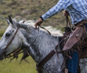 cowboy Stock Photo 06