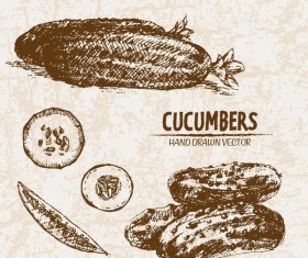 cucumbers hand drawing retor vector 01