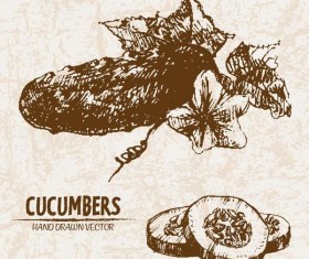 cucumbers hand drawing retor vector 02