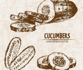 cucumbers hand drawing retor vector 03