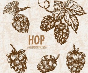 hop hand drawing retor vector