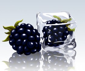 Multifruit with ice cubes and water splash vector 02 free download
