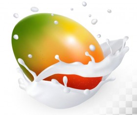 mango with splash milk vector