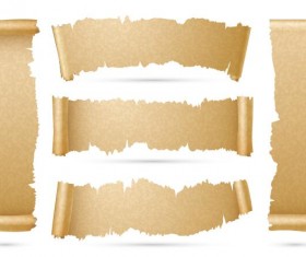 parchment scrolls banner vector