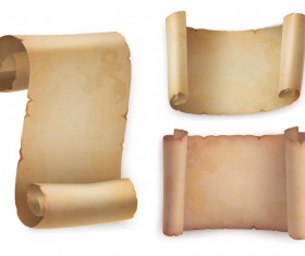 parchment scrolls illustration vector